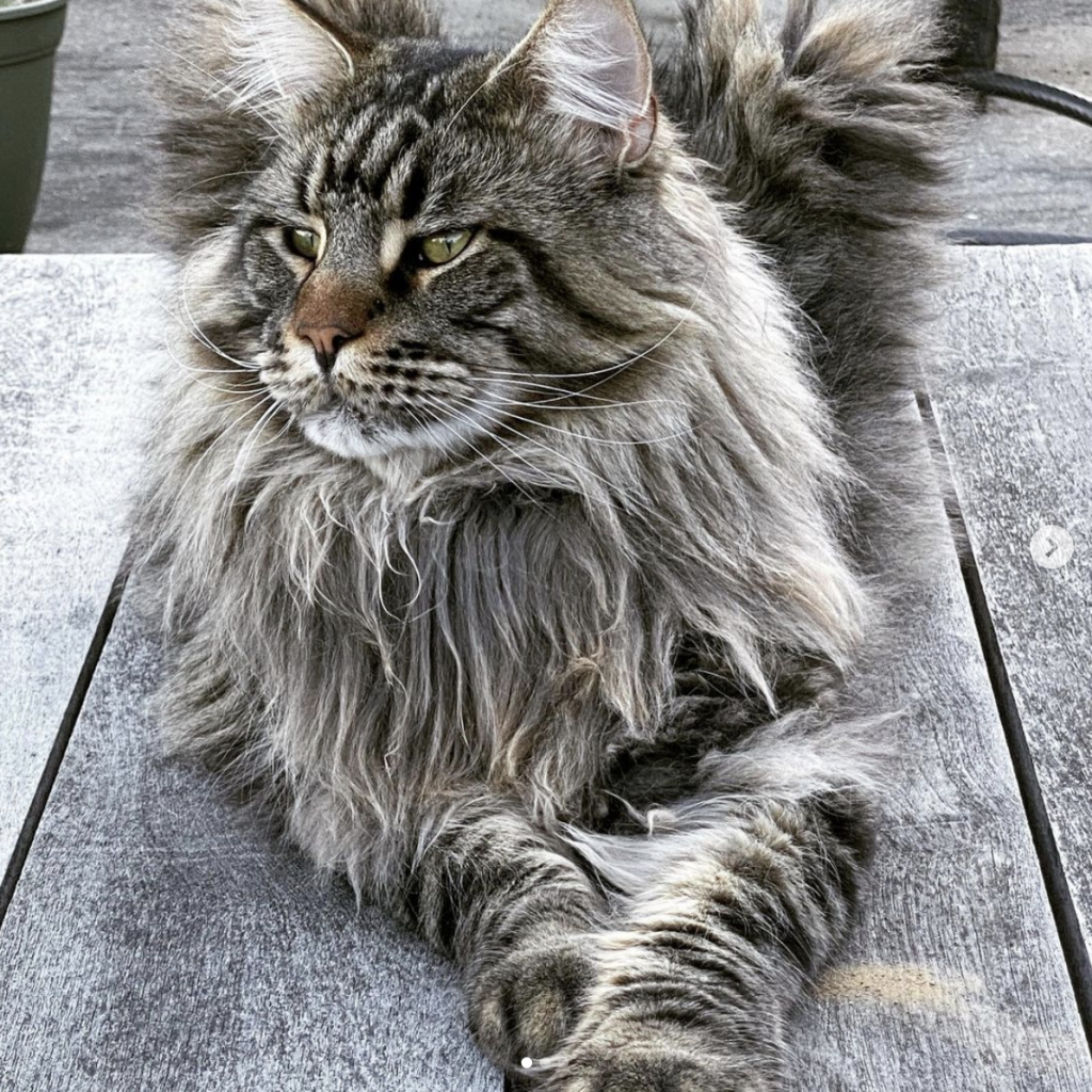 Heidi Krauss Krauss Real Property Brokerage