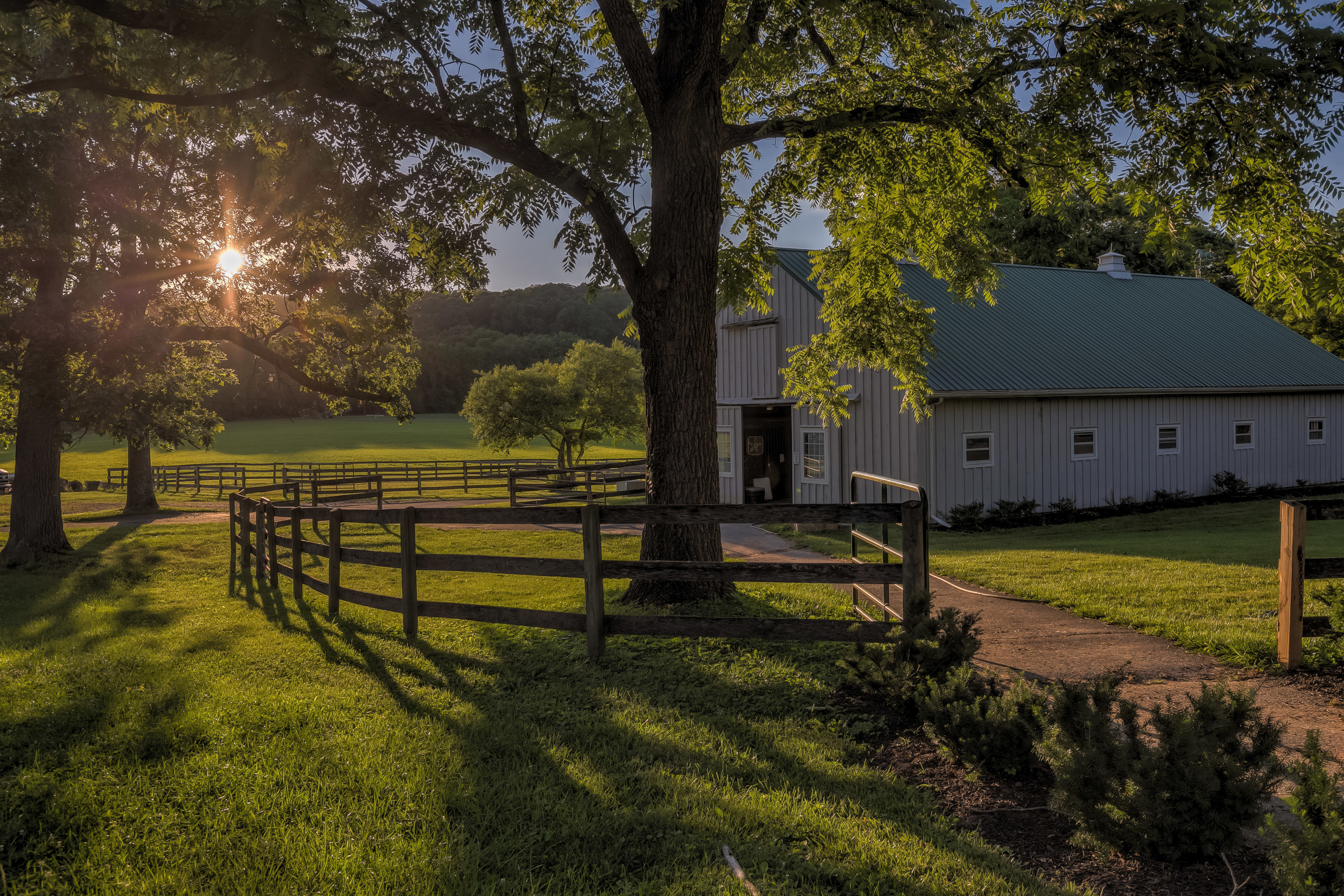3801 PINEY GROVE ROAD, GLYNDON, Maryland 21071, 5 Bedrooms Bedrooms, ,4 BathroomsBathrooms,Farm,Closed,PINEY GROVE,1000275504