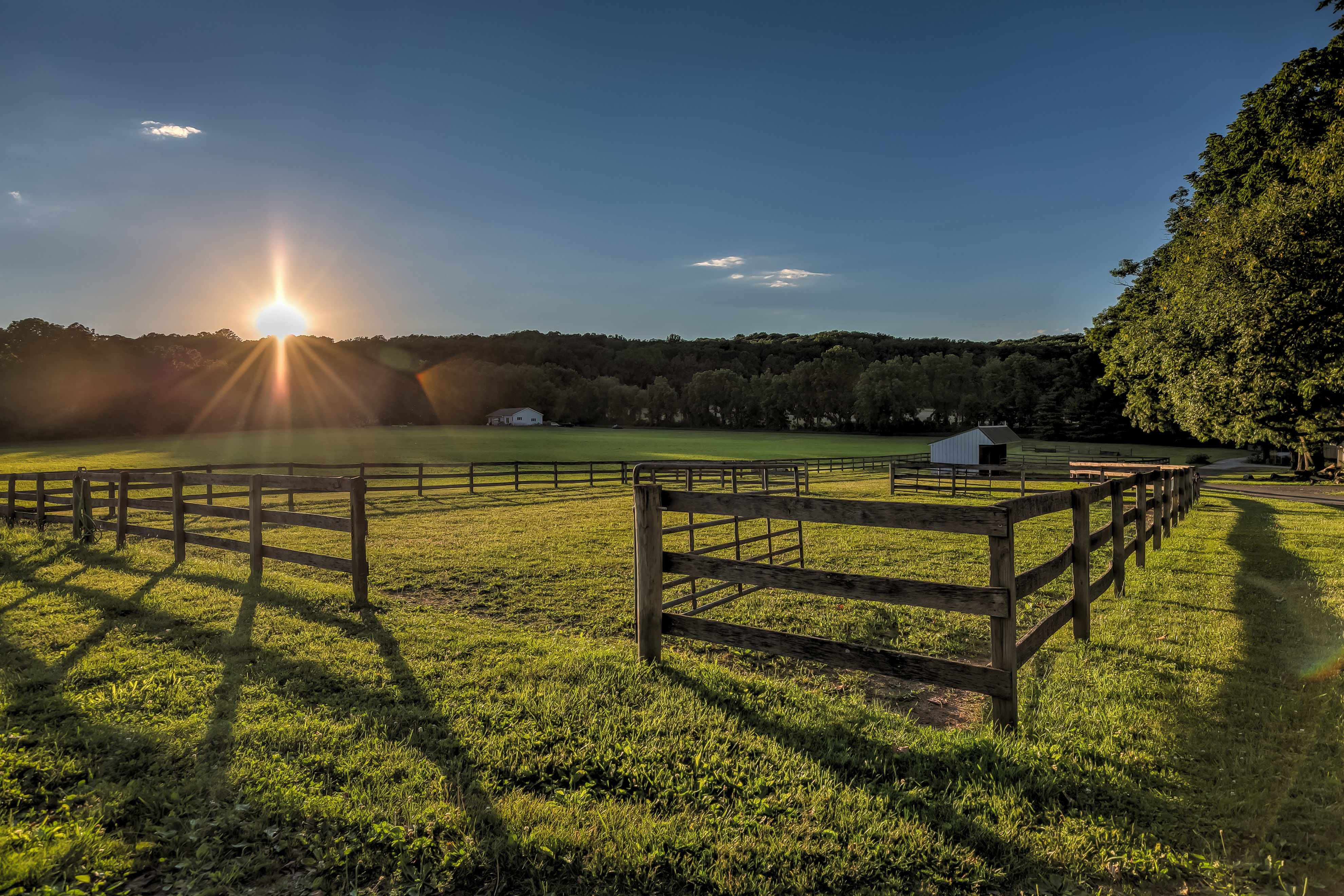 3801 PINEY GROVE ROAD, GLYNDON, Maryland 21071, 5 Bedrooms Bedrooms, ,4 BathroomsBathrooms,Farm,Closed,PINEY GROVE,1000275504