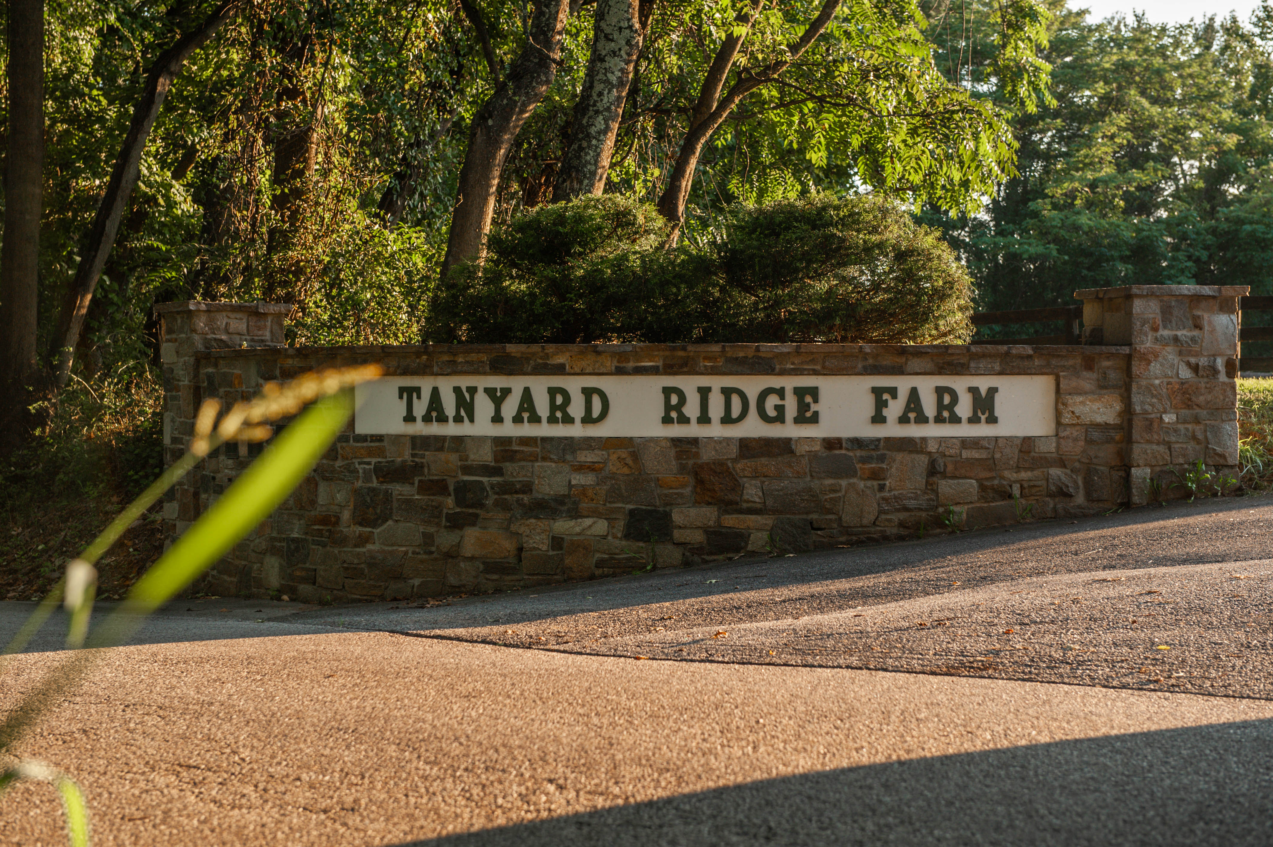 15110 Tanyard Road, Sparks Glencoe, Maryland 21152, 5 Bedrooms Bedrooms, ,4 BathroomsBathrooms,Farm / Estate,Vault Closed,Tanyard,1010015858