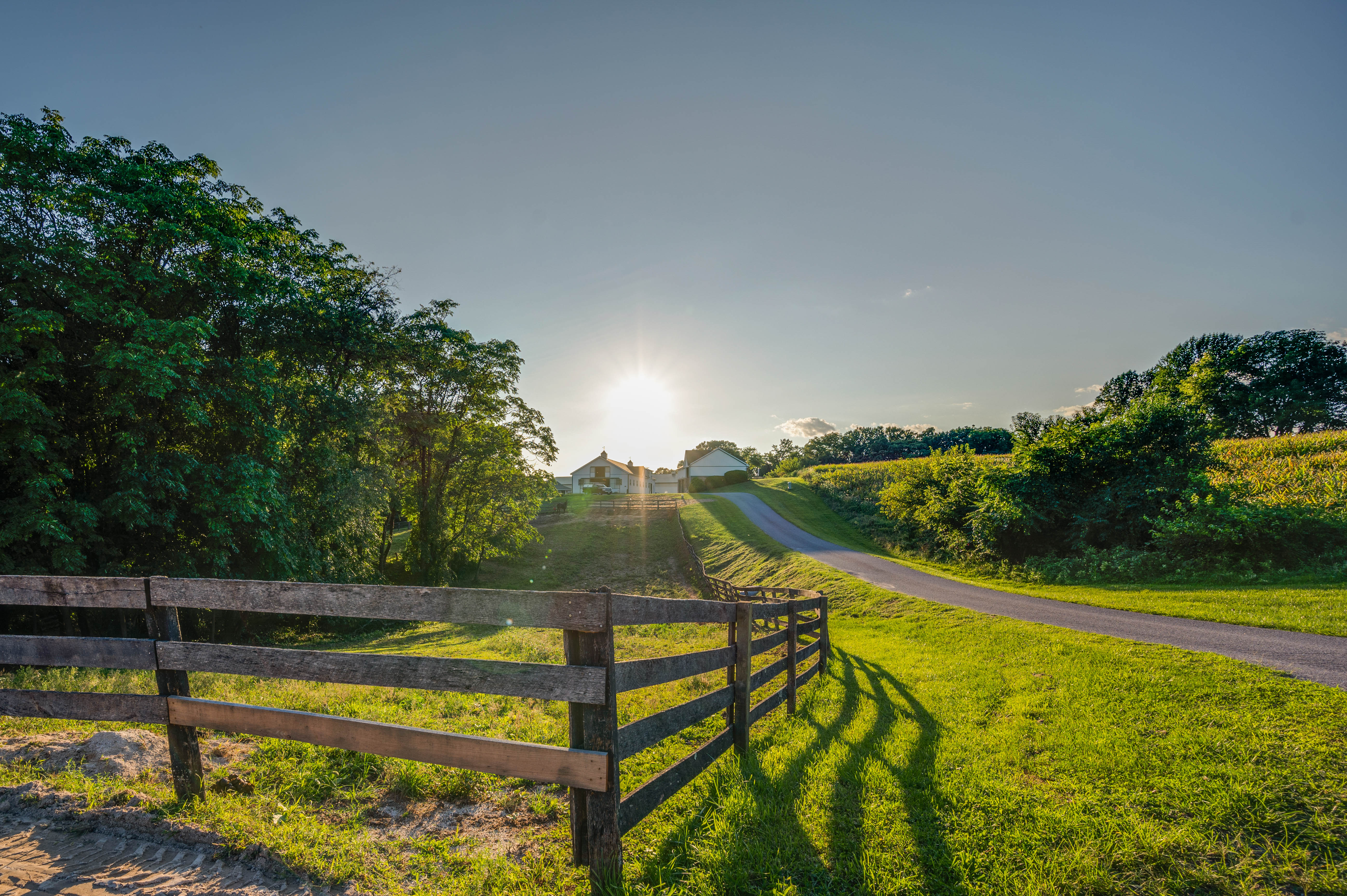 15110 Tanyard Road, Sparks Glencoe, Maryland 21152, 5 Bedrooms Bedrooms, ,4 BathroomsBathrooms,Farm / Estate,Vault Closed,Tanyard,1010015858