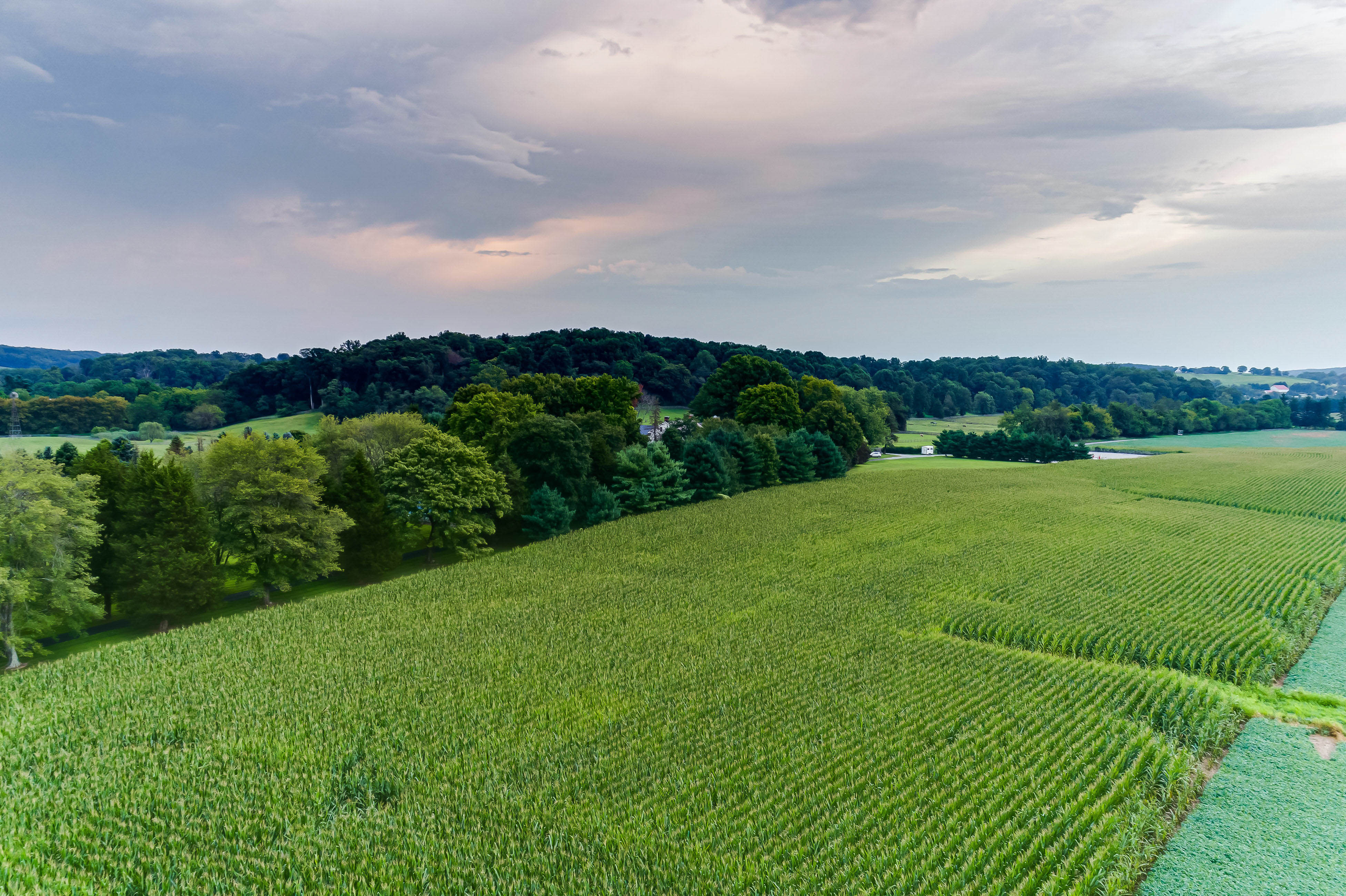 13401 Longnecker Road, Reisterstown, Maryland 21136, 6 Bedrooms Bedrooms, ,6 BathroomsBathrooms,Residential,Active,Longnecker ,0,1010015922