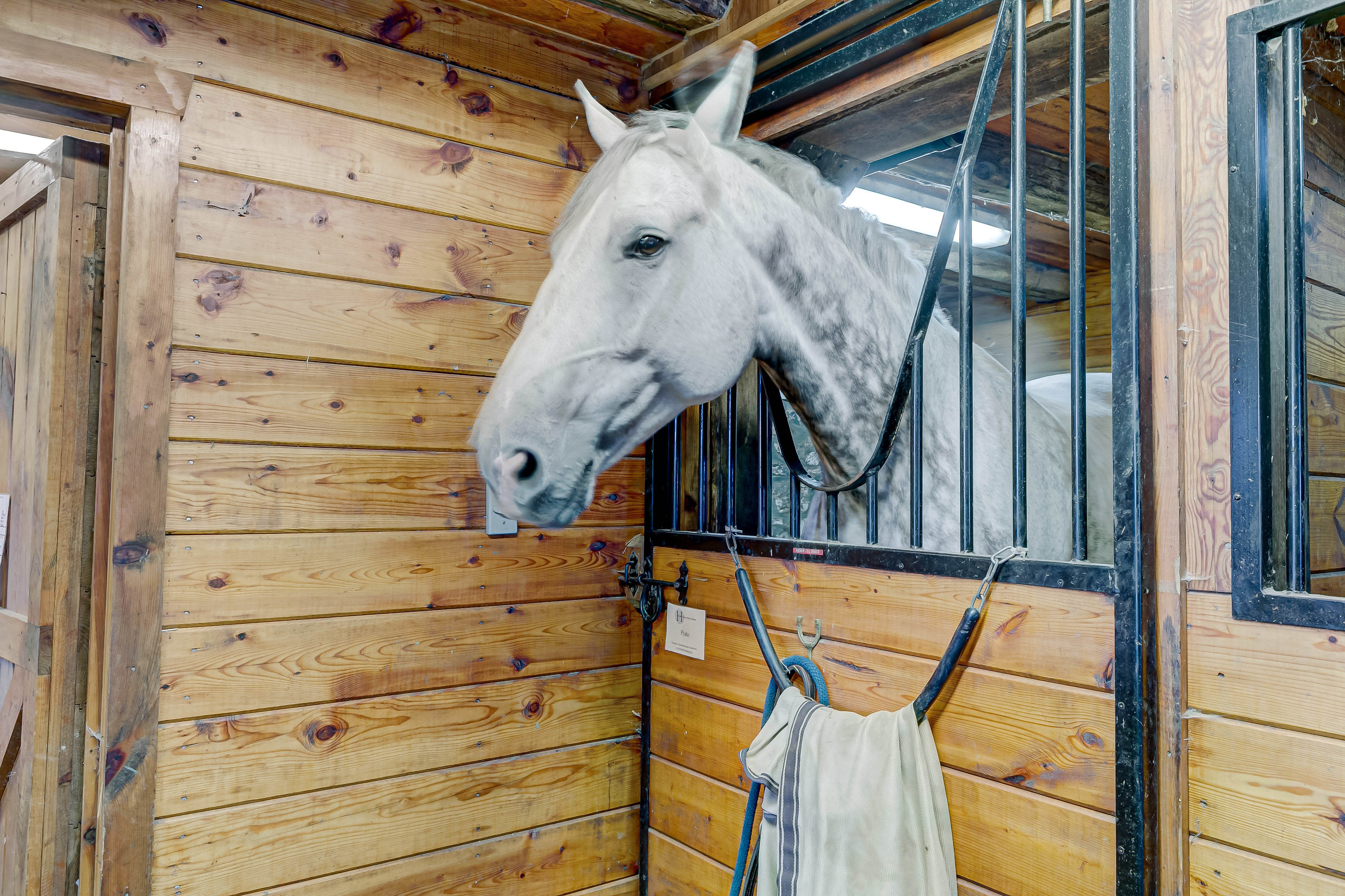 13401 Longnecker Road, Reisterstown, Maryland 21136, 6 Bedrooms Bedrooms, ,6 BathroomsBathrooms,Residential,Active,Longnecker ,0,1010015922