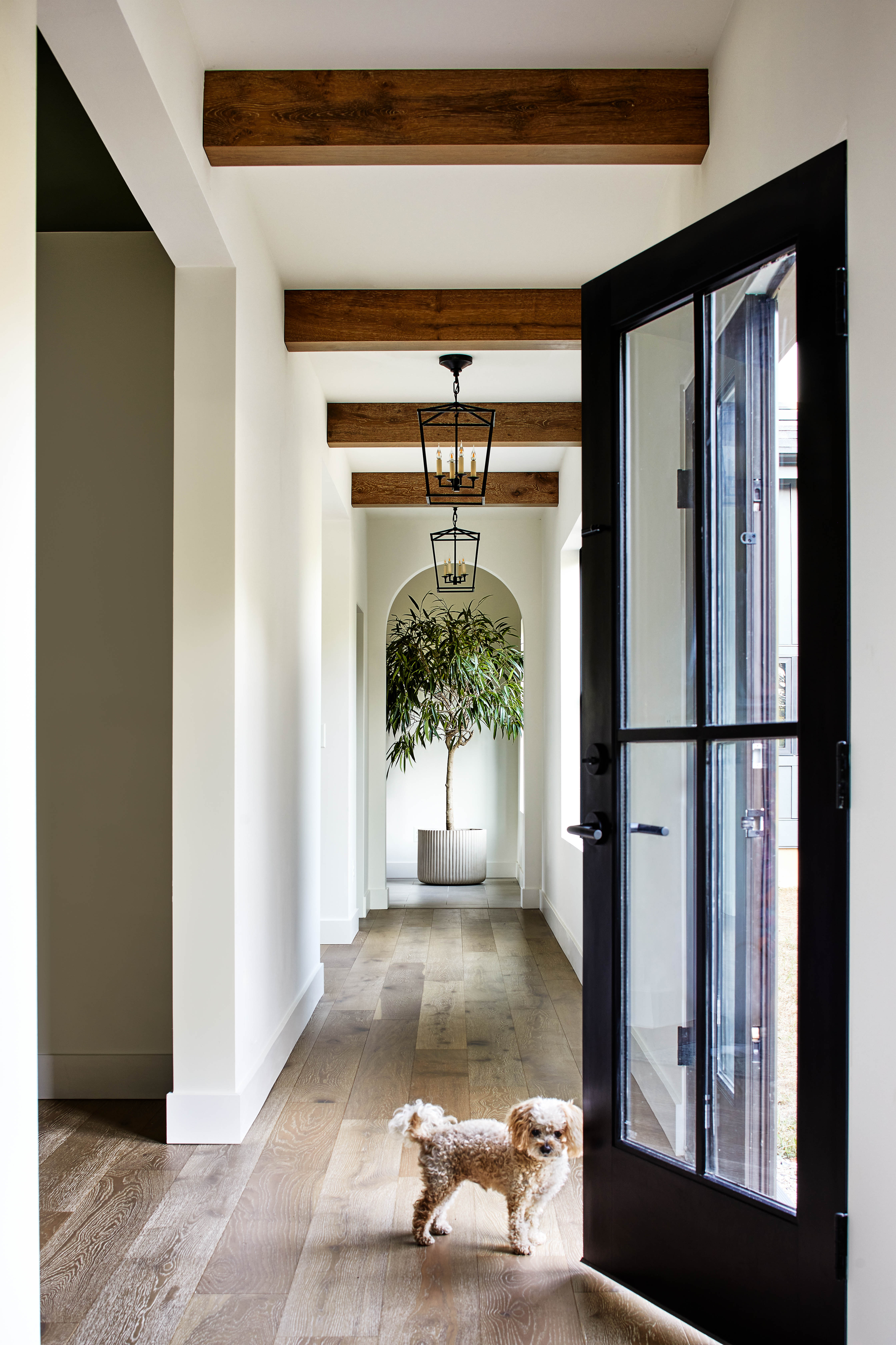 Wild Pines, Sparks, Maryland 21152, 5 Bedrooms Bedrooms, ,4 BathroomsBathrooms,Residential,Coming Soon,0,1010015924