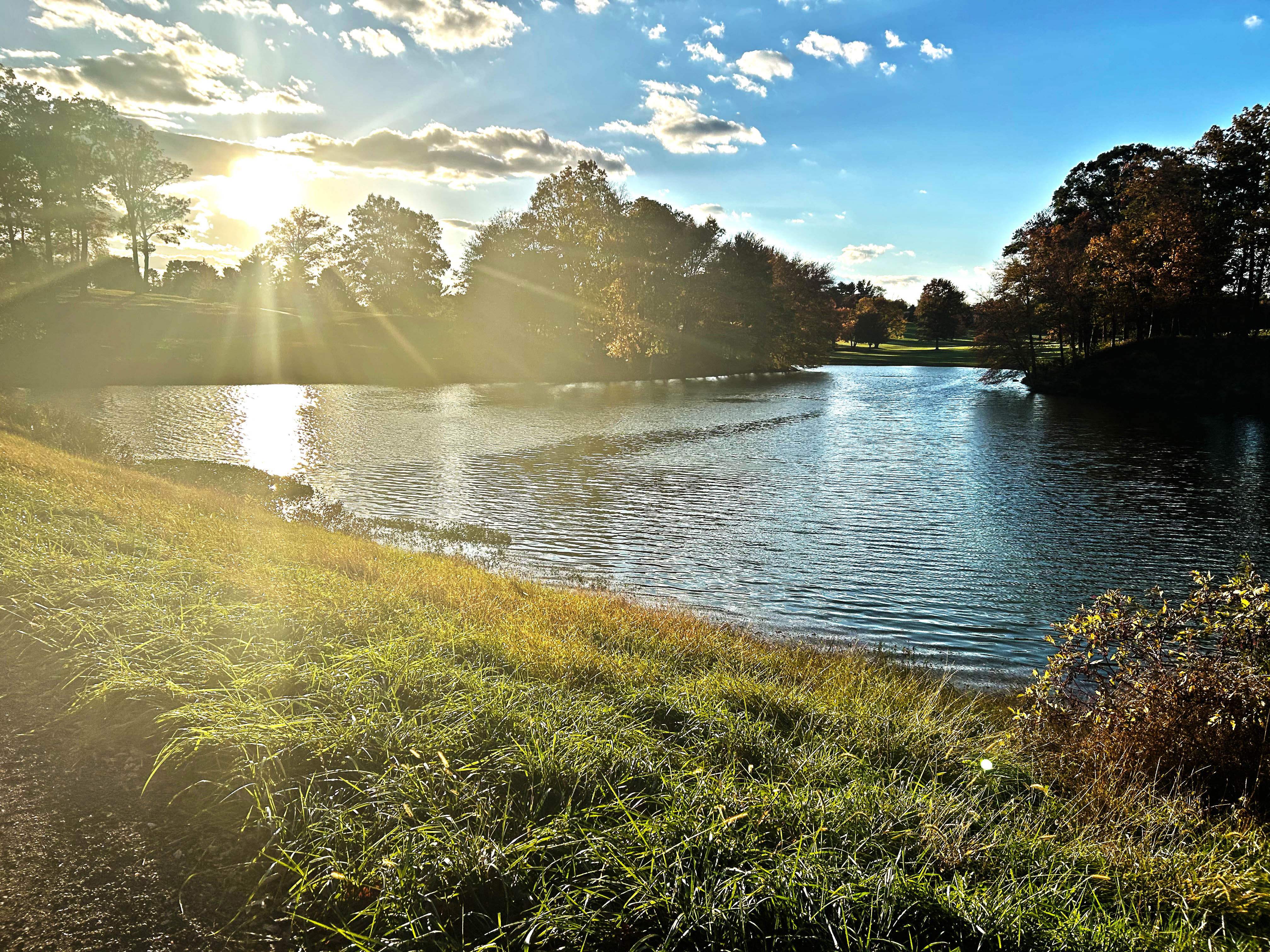 24 Thomas Shilling Court, Upperco, Maryland 21155, 5 Bedrooms Bedrooms, ,3 BathroomsBathrooms,Residential,Coming Soon,Thomas Shilling,0,1010015929