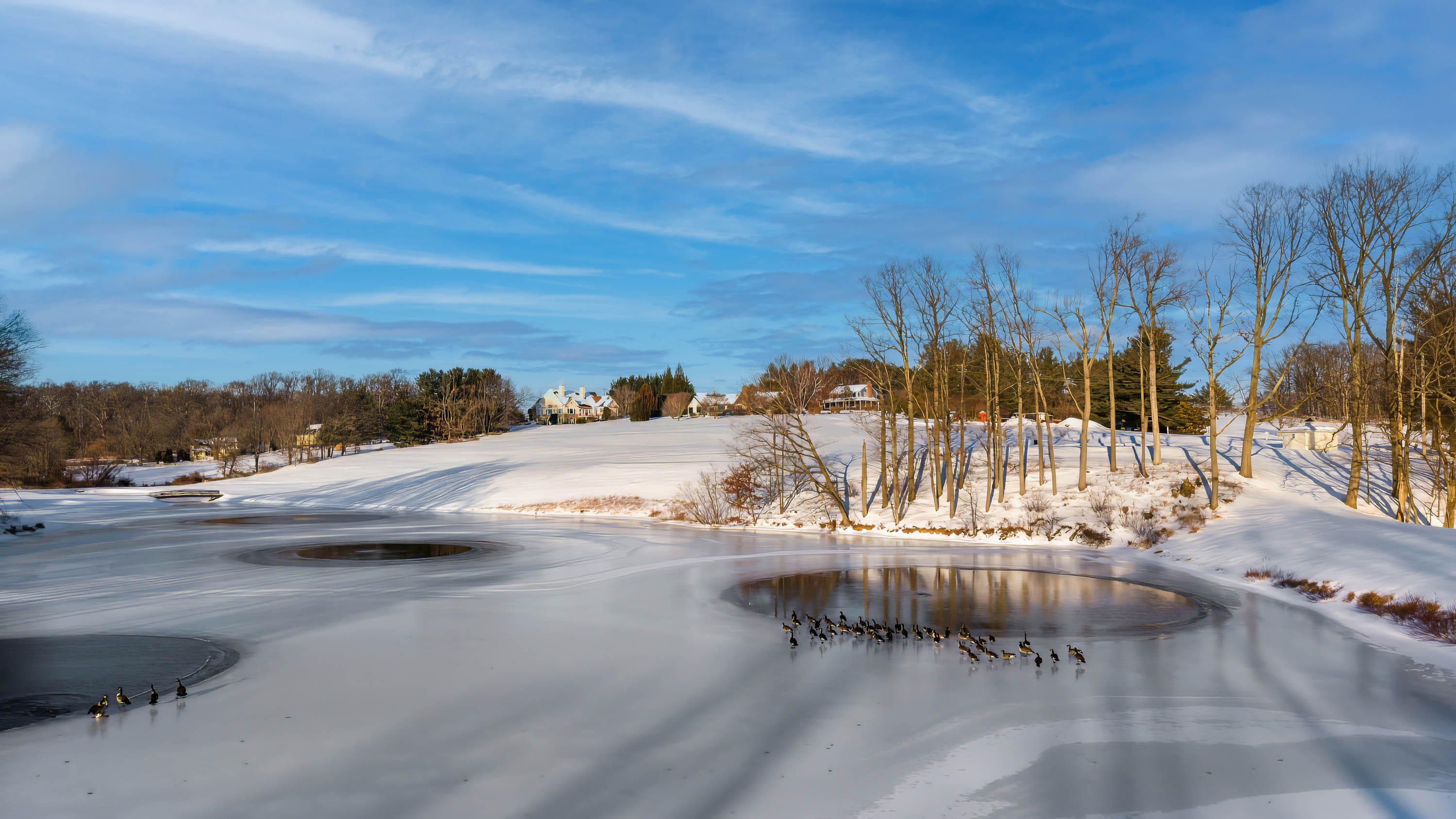 24 Thomas Shilling Court, Upperco, Maryland 21155, 5 Bedrooms Bedrooms, ,3 BathroomsBathrooms,Residential,Coming Soon,Thomas Shilling,0,1010015929
