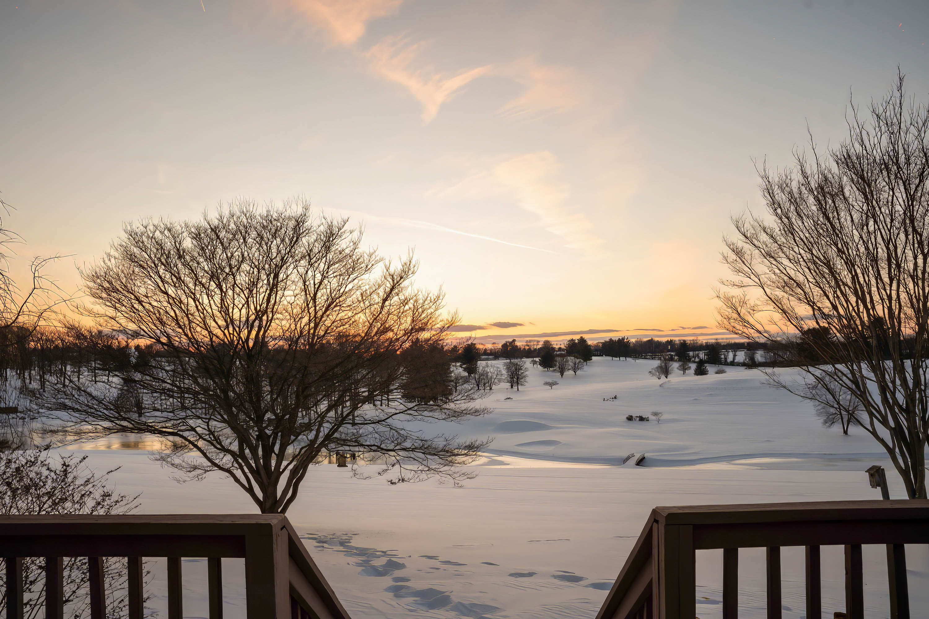 24 Thomas Shilling Court, Upperco, Maryland 21155, 5 Bedrooms Bedrooms, ,3 BathroomsBathrooms,Residential,Coming Soon,Thomas Shilling,0,1010015929