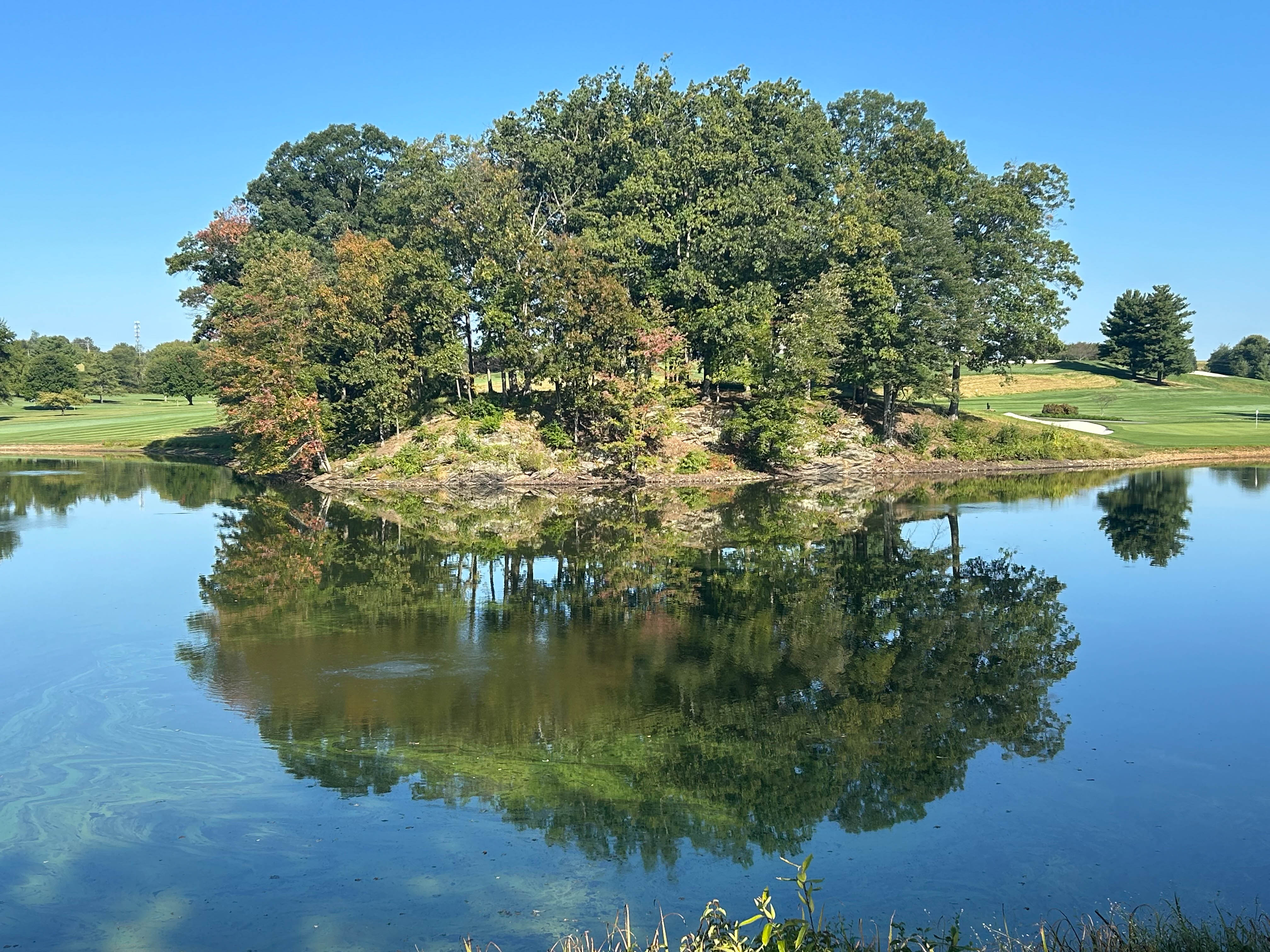 24 Thomas Shilling Court, Upperco, Maryland 21155, 5 Bedrooms Bedrooms, ,3 BathroomsBathrooms,Residential,Coming Soon,Thomas Shilling,0,1010015929