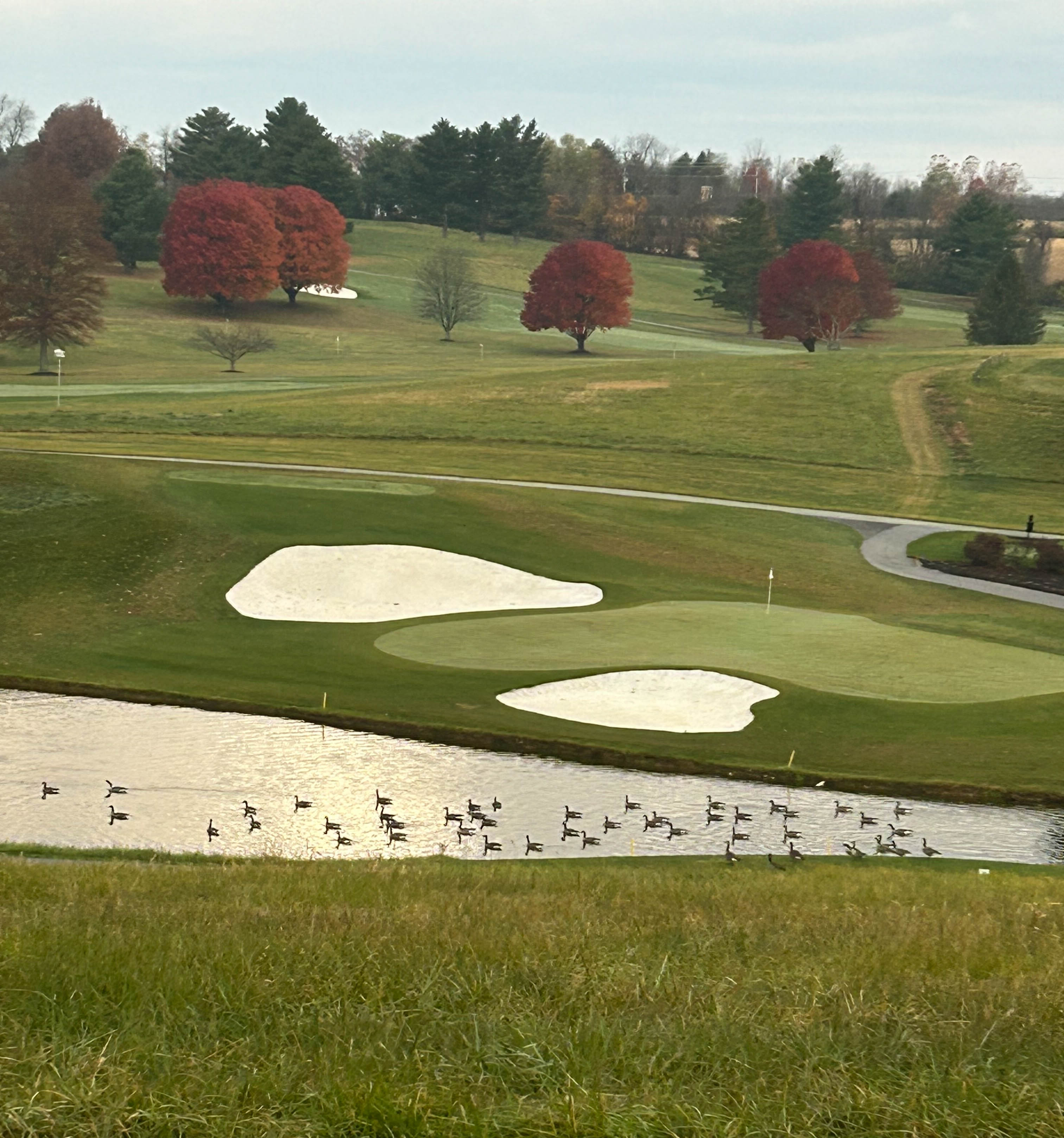 24 Thomas Shilling Court, Upperco, Maryland 21155, 5 Bedrooms Bedrooms, ,3 BathroomsBathrooms,Residential,Coming Soon,Thomas Shilling,0,1010015929