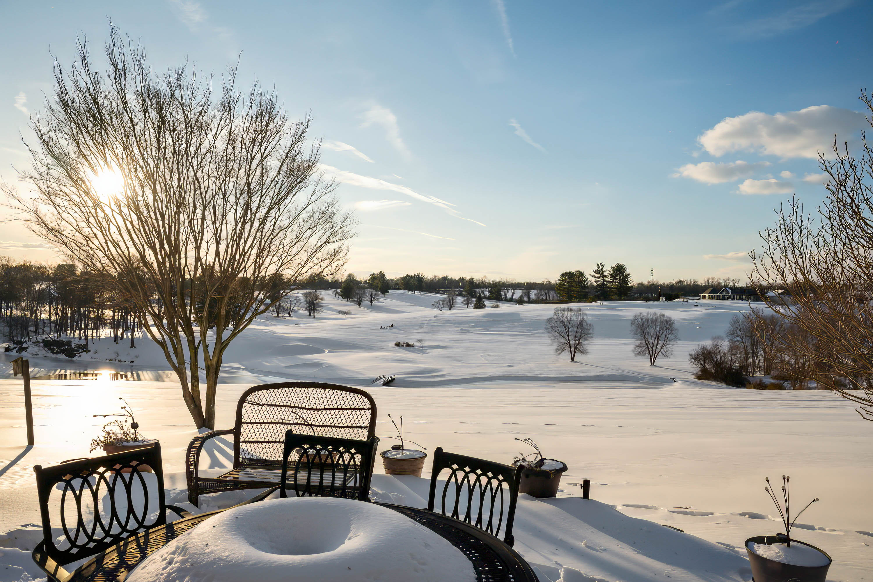 24 Thomas Shilling Court, Upperco, Maryland 21155, 5 Bedrooms Bedrooms, ,3 BathroomsBathrooms,Residential,Coming Soon,Thomas Shilling,0,1010015929